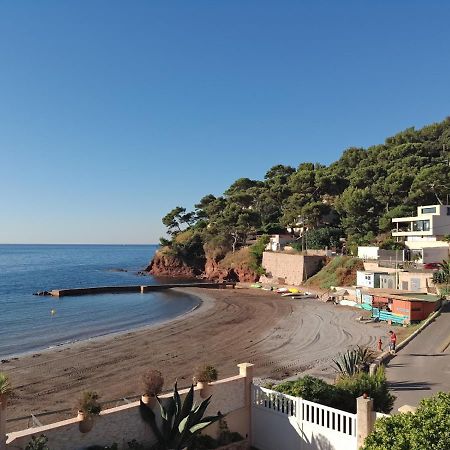 Loft Climatise "La Pinede", 50 M2, Tres Calme, 5 Mn A Pied Des Plages, Lit King Size La Seyne-sur-Mer Buitenkant foto