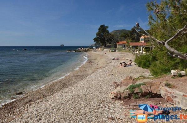Loft Climatise "La Pinede", 50 M2, Tres Calme, 5 Mn A Pied Des Plages, Lit King Size La Seyne-sur-Mer Buitenkant foto
