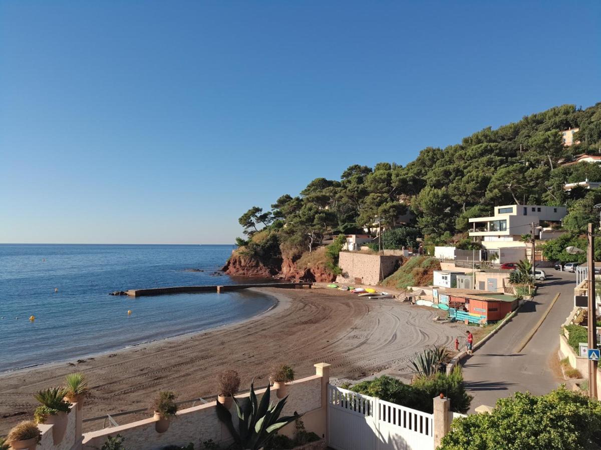 Loft Climatise "La Pinede", 50 M2, Tres Calme, 5 Mn A Pied Des Plages, Lit King Size La Seyne-sur-Mer Buitenkant foto